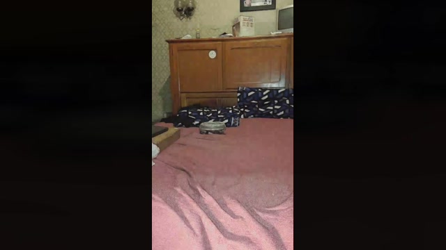 Leigonzalez00  21-09-2022